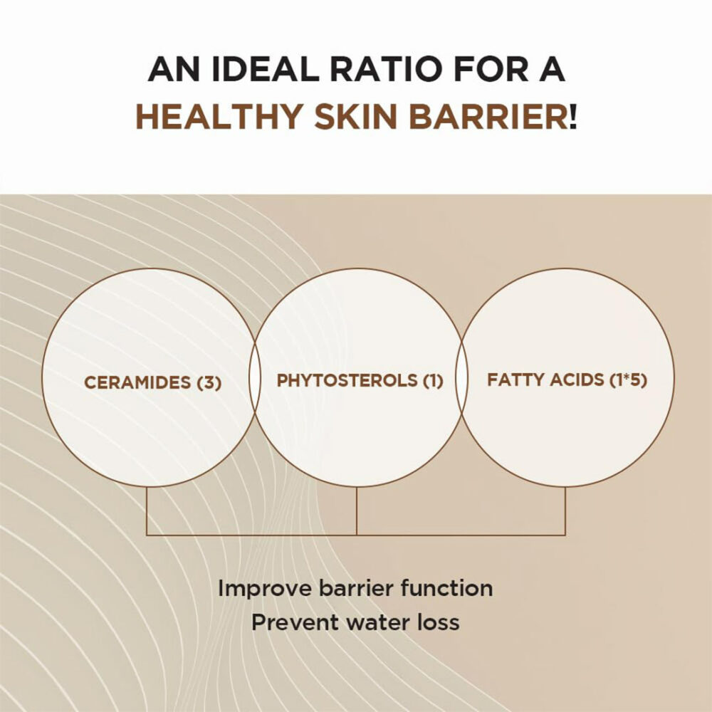 آمپول سنتلا پروبیو سیکا اسکین 1004 SKIN1004 Madagascar Centella Probio-Cica Intensive Ampoule