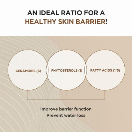 آمپول سنتلا پروبیو سیکا اسکین 1004 SKIN1004 Madagascar Centella Probio-Cica Intensive Ampoule