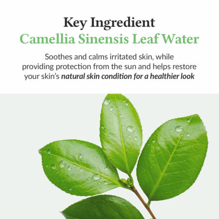 ضد آفتاب چای سبز دکتر التیا Dr.Althea Green Tea Fresh Sunscreen