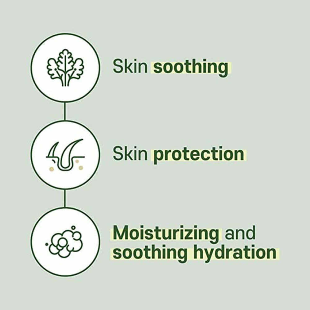 فوم شستشوی آرامش بخش ماگورت راندلب Round Lab Mugwort Calming Cleanser - Image 2