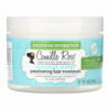 ماسک مو آبرسان آب نارگيل کامیل رز Camille Rose Coconut Water Penetrating Hair Treatment